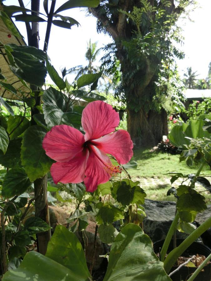 Balay Tuko Garden Inn Puerto Princesa Exterior foto